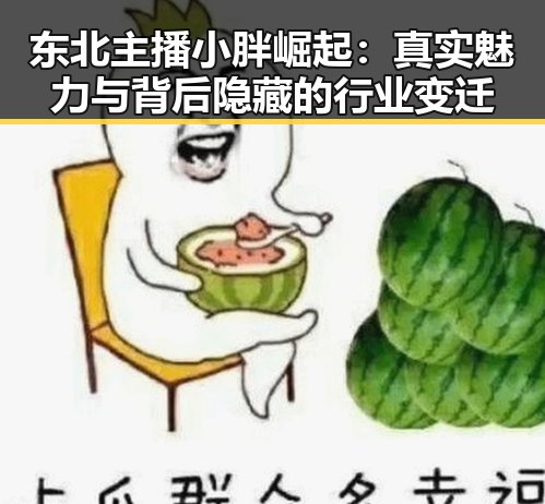 东北主播小胖崛起：真实魅力与背后隐藏的行业变迁